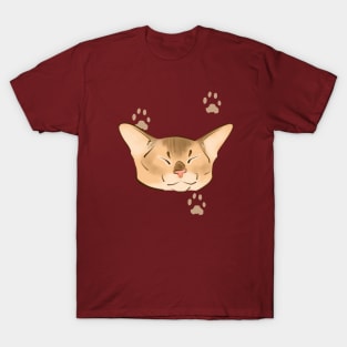 sleepy abyssinian cat T-Shirt